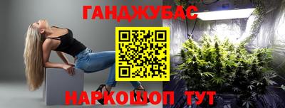 сатива Будённовск