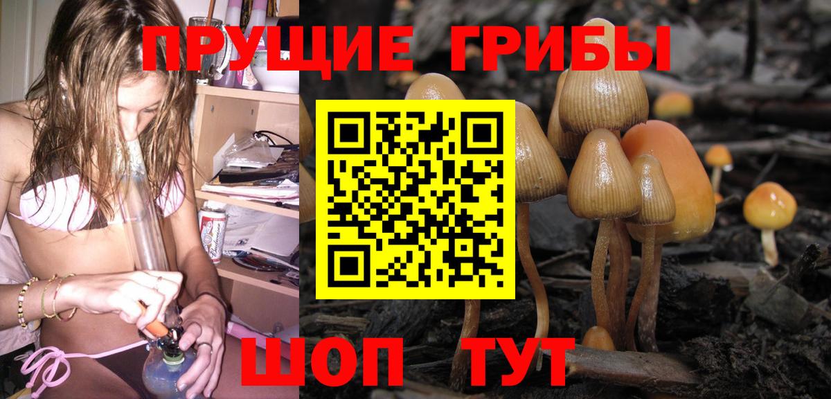 Новороссийск  Псилоцибиновые грибы мухоморы  Вход с VPN  магазин  наркотиков  Галлюциногенные грибы GOLDEN TEACHER 